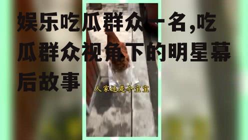 娱乐吃瓜群众一名,吃瓜群众视角下的明星幕后故事