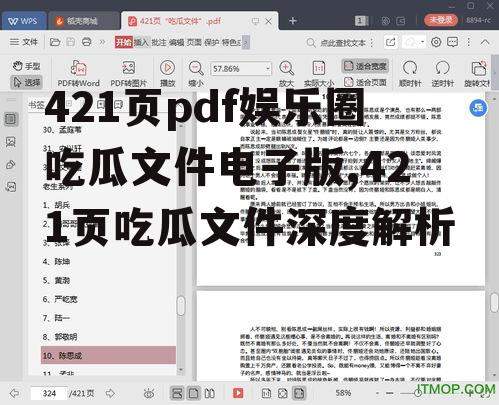 421页pdf娱乐圈吃瓜文件电子版,421页吃瓜文件深度解析