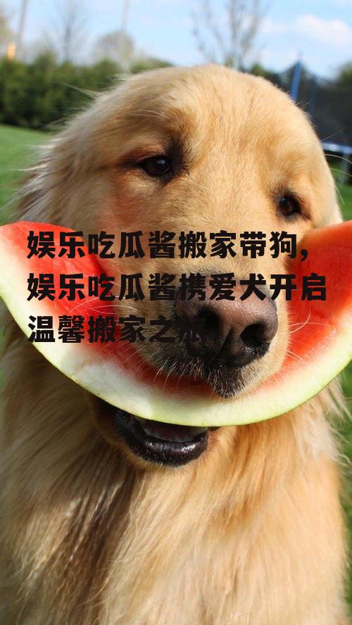 娱乐吃瓜酱搬家带狗,娱乐吃瓜酱携爱犬开启温馨搬家之旅